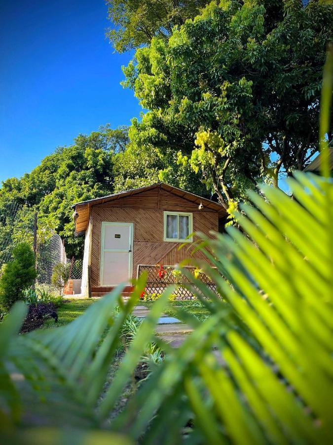 דהראדון Hotel O Royal Tree Cafe And Resort מראה חיצוני תמונה