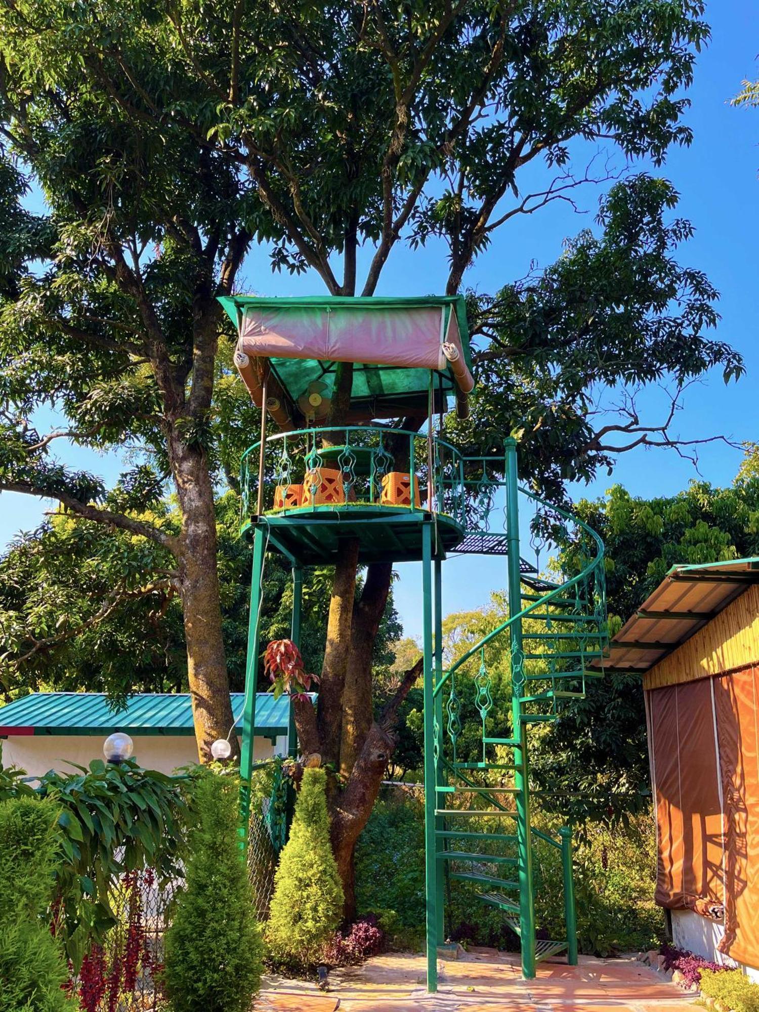 דהראדון Hotel O Royal Tree Cafe And Resort מראה חיצוני תמונה